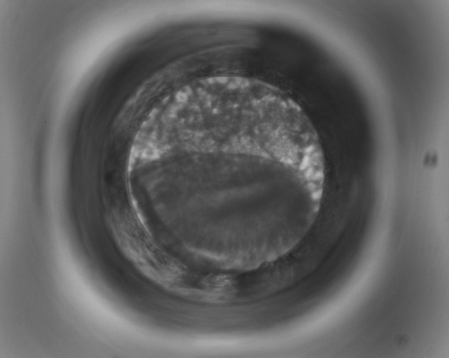 X0000112850143200909181745