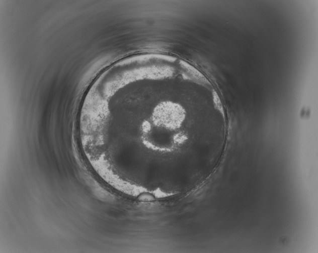 X0000112850145200909181744