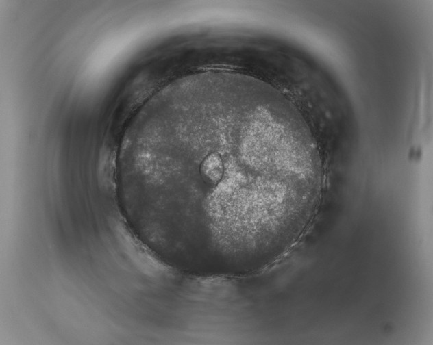 X0000112850146200909181744