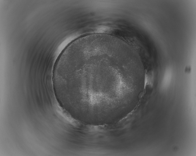 X0000112850147200909181744