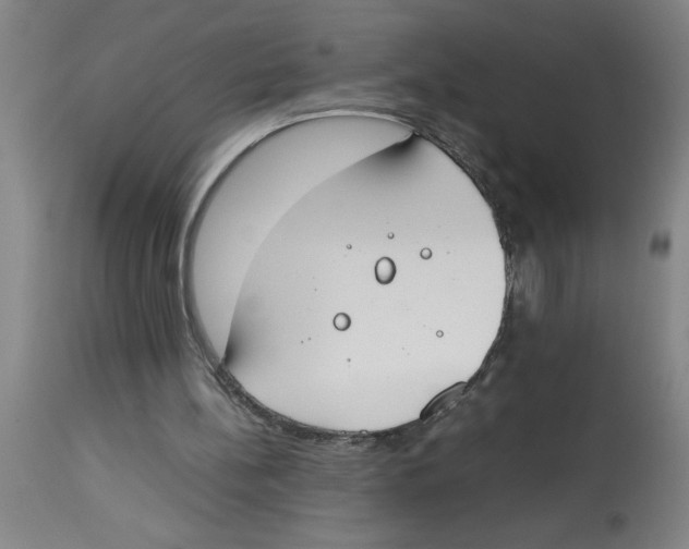 X0000112850148200909181744