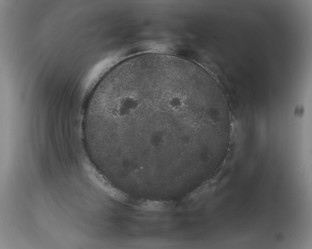 X0000112850149200909181744