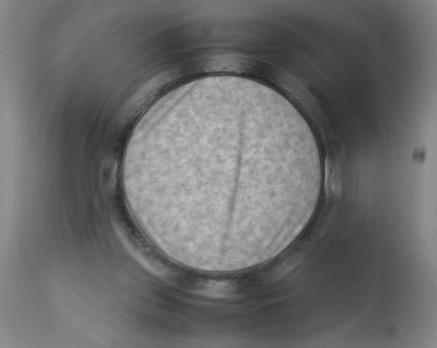 X0000112850157200909181745