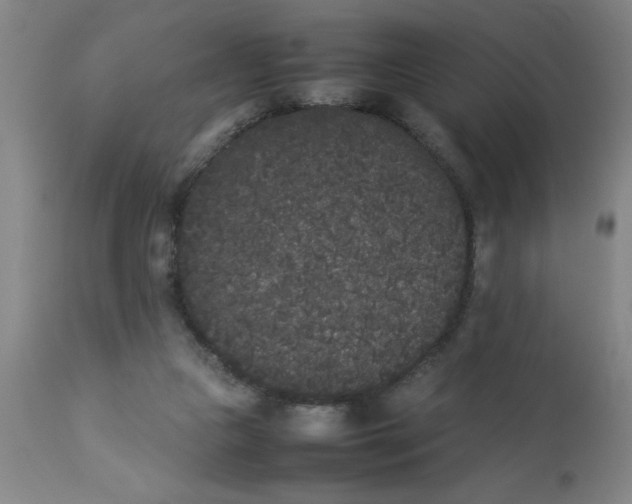 X0000112850161200909181745