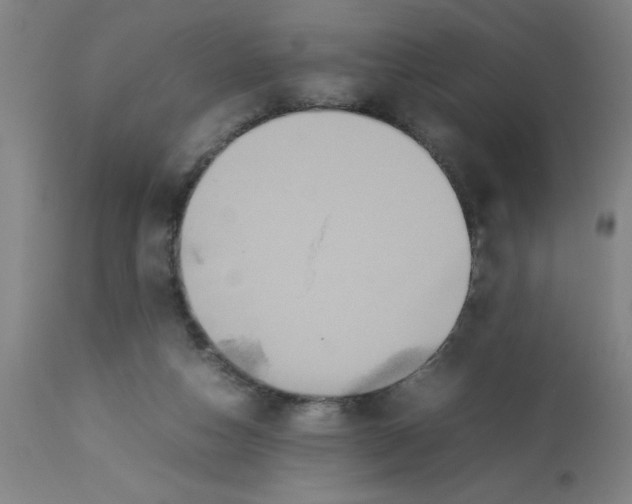 X0000112850162200909181745