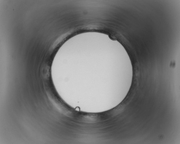 X0000112850164200909181745