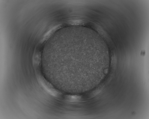 X0000112850165200909181745