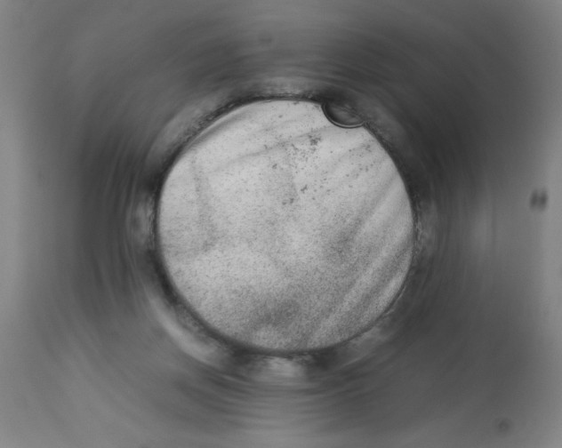 X0000112850166200909181745