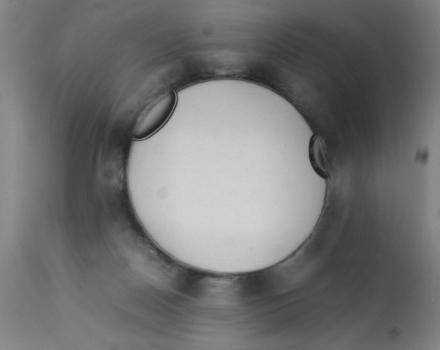 X0000112850170200909181745