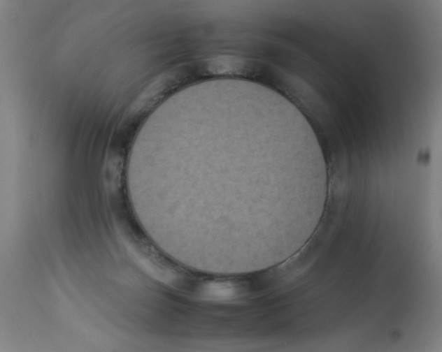 X0000112850171200909181745