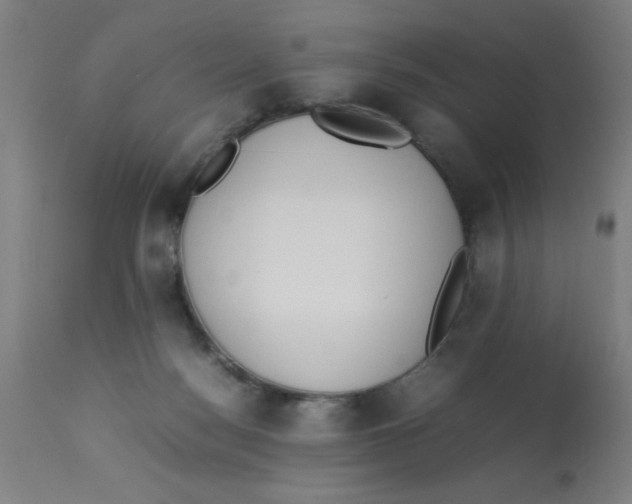 X0000112850172200909181745