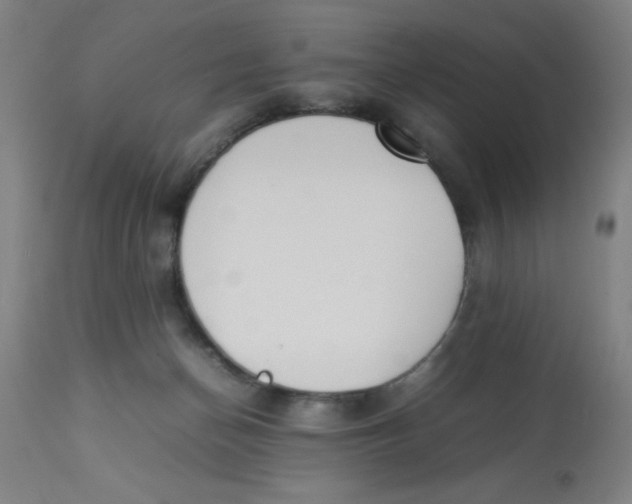 X0000112850174200909181745