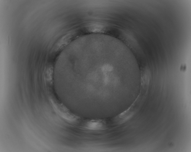 X0000112850175200909181745