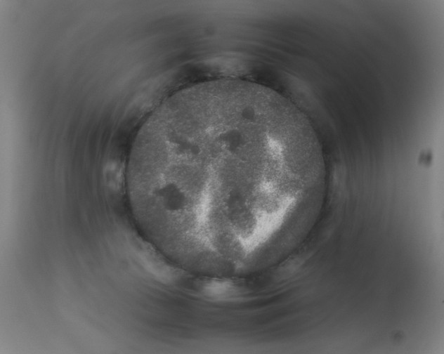 X0000112850177200909181745