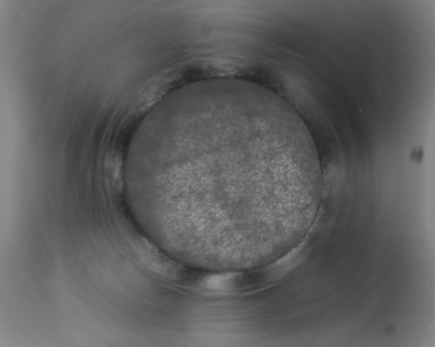 X0000112850178200909181745