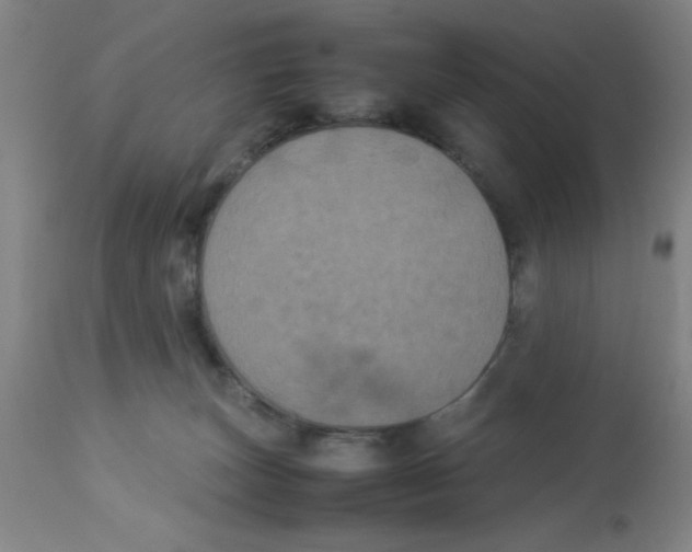 X0000112850179200909181745