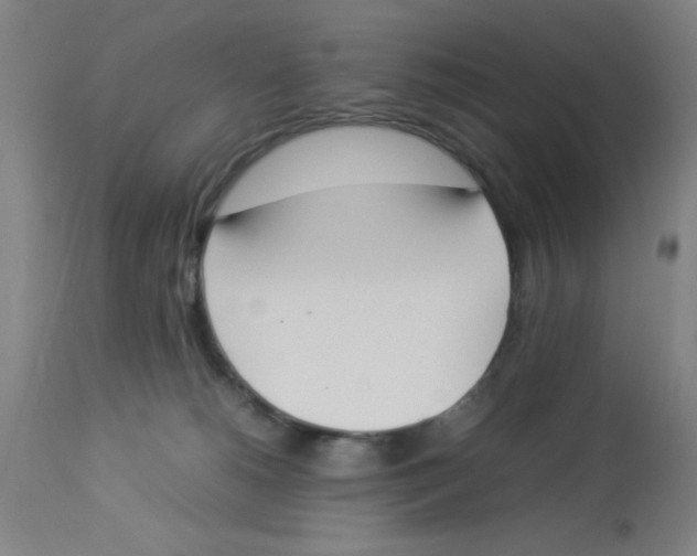 X0000112850180200909181745