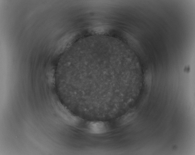 X0000112850181200909181745