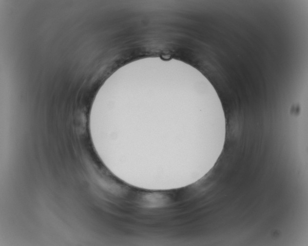 X0000112850183200909181745