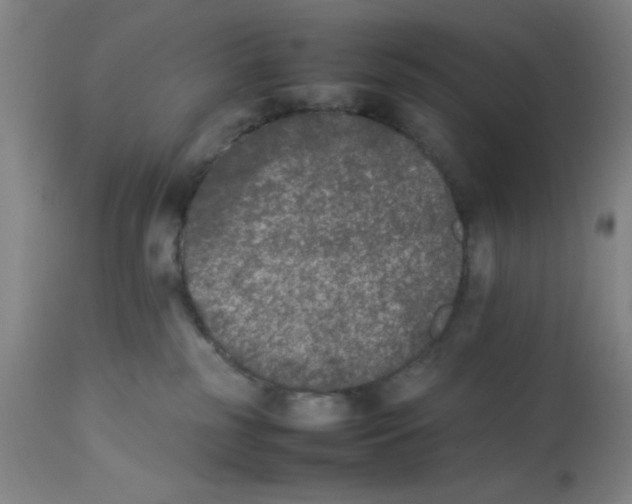 X0000112850185200909181745