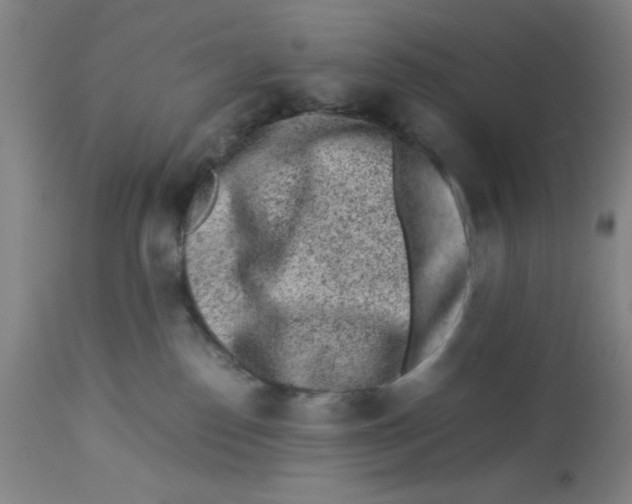 X0000112850186200909181745