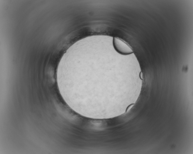 X0000112850187200909181745