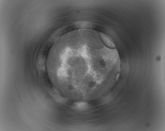 X0000112850189200909181745