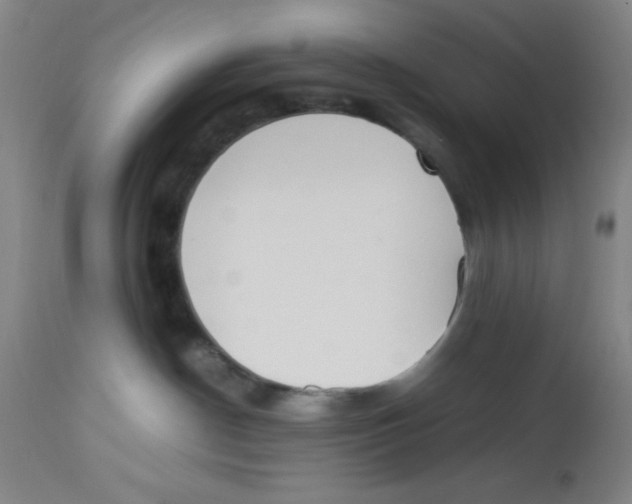 X0000112850190200909181745