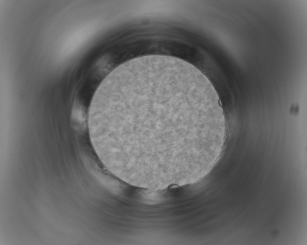 X0000112850191200909181745