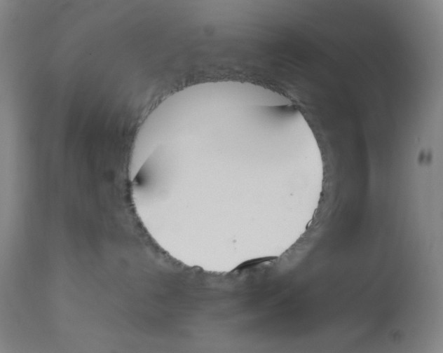 X0000112850192200909181745