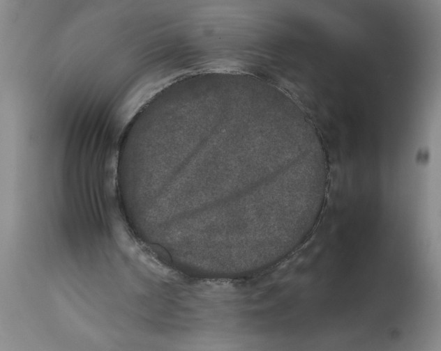 X0000112850194200909181744