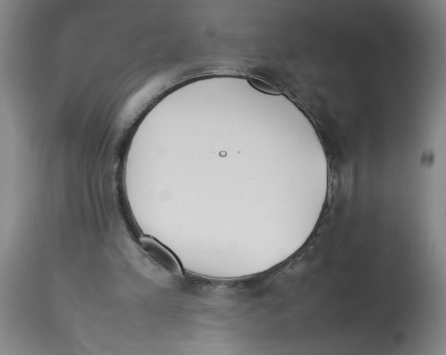 X0000112850197200909181744