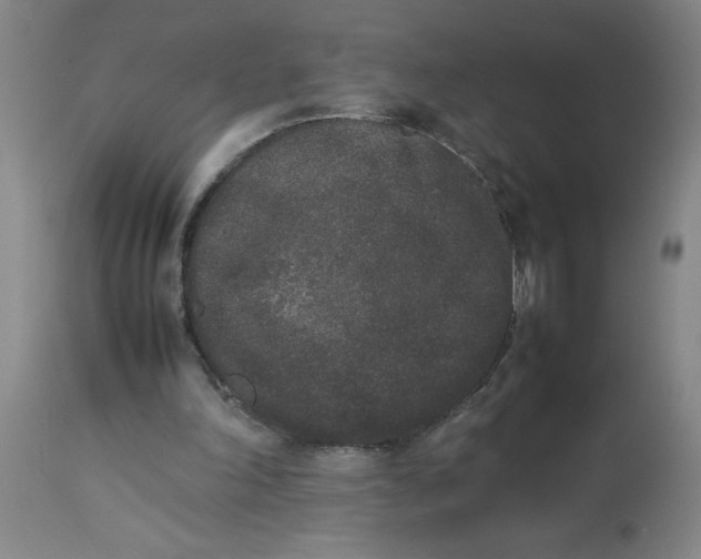 X0000112850198200909181744