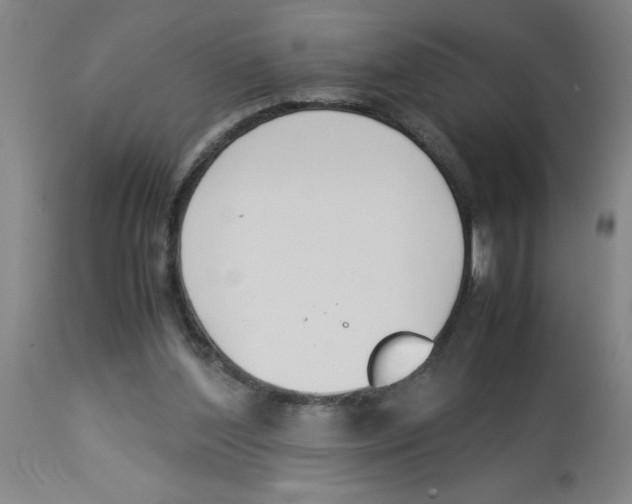 X0000112850204200909181744