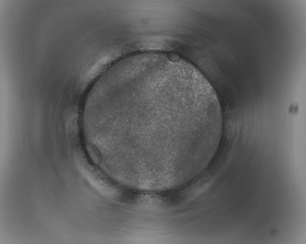 X0000112850207200909181744