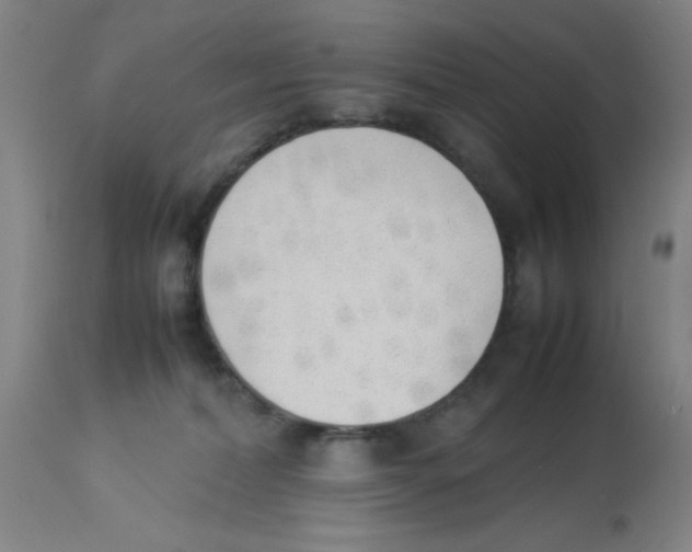 X0000112850228200909181744