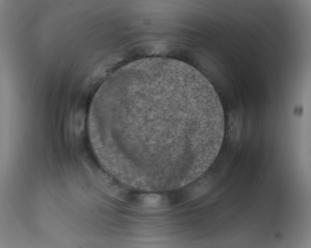 X0000112850230200909181744