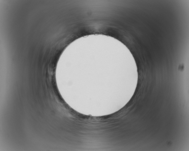 X0000112850235200909181744