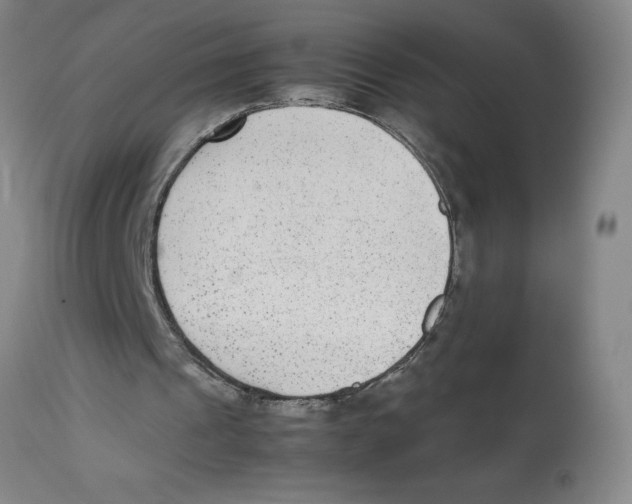 X0000112850241200909181743