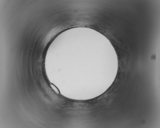 X0000112850242200909181743