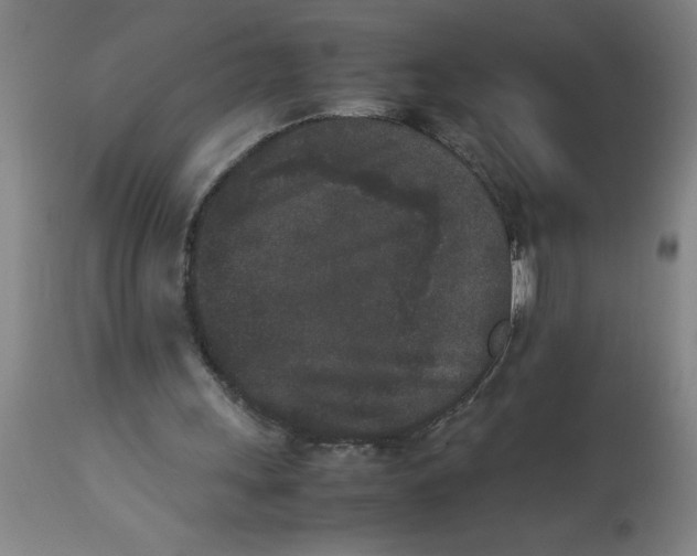 X0000112850243200909181743