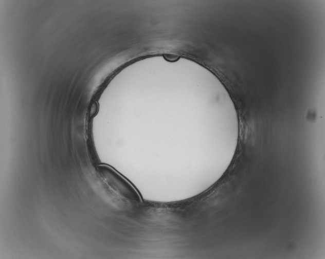 X0000112850244200909181743