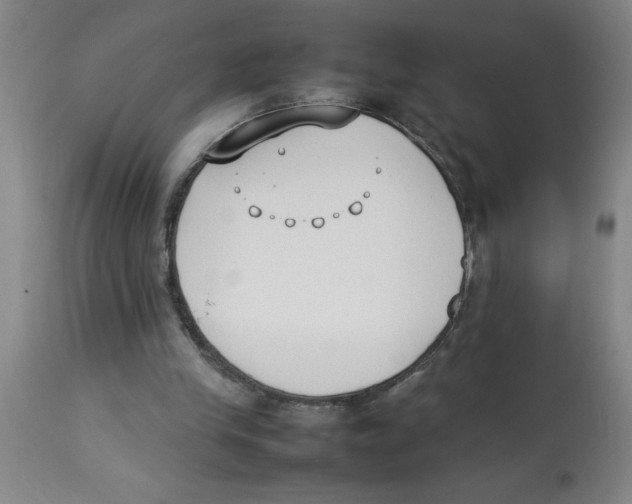 X0000112850245200909181743