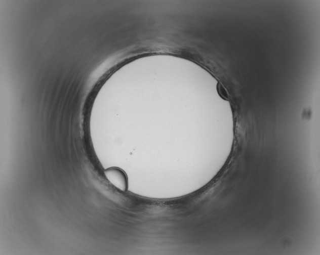 X0000112850246200909181743