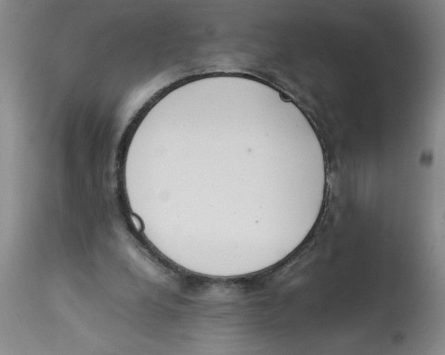 X0000112850248200909181743