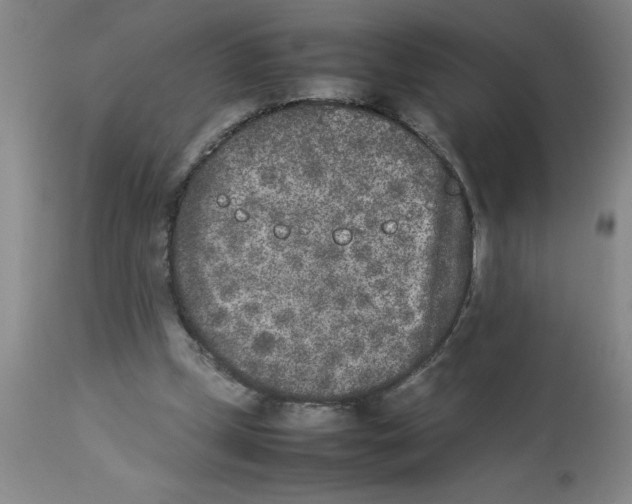 X0000112850249200909181743