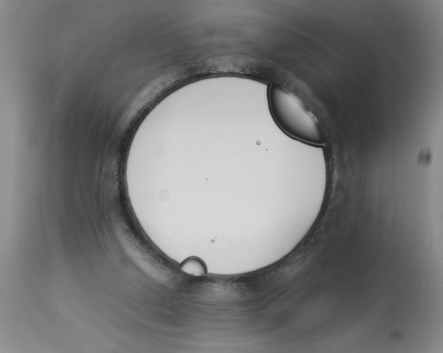 X0000112850250200909181743