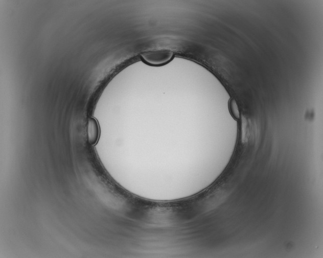 X0000112850252200909181743