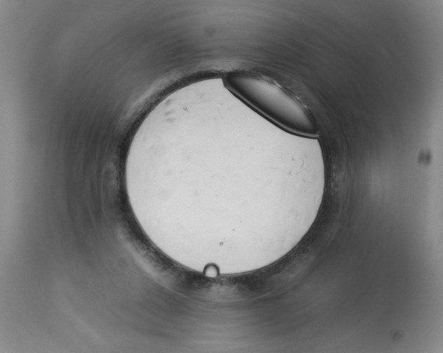 X0000112850256200909181743