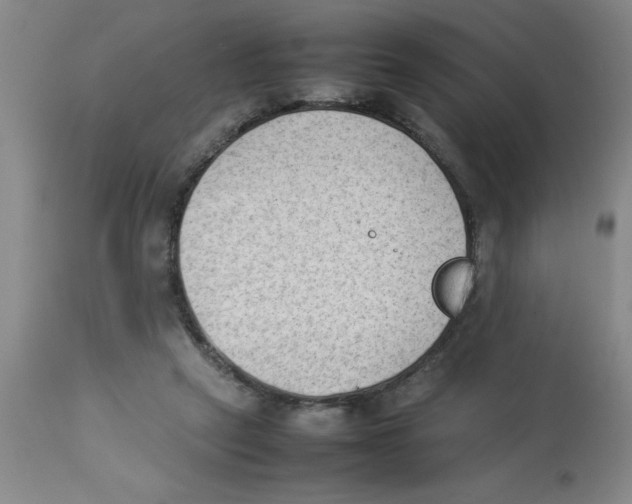 X0000112850257200909181743